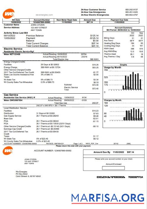 Realistic USA We utility bill template in Word and PDF format